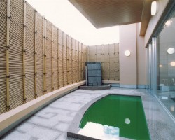 竹乃湯温泉 兵庫県／公衆浴場／2003のサムネイル